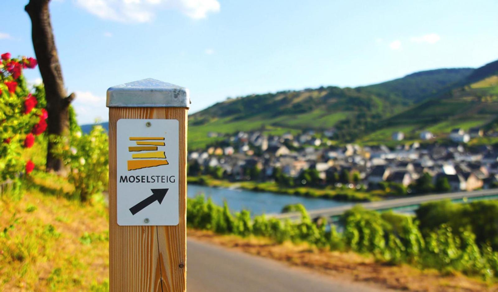 Gaestehaus Weingut Mathy-Schanz Osann-Monzel Экстерьер фото
