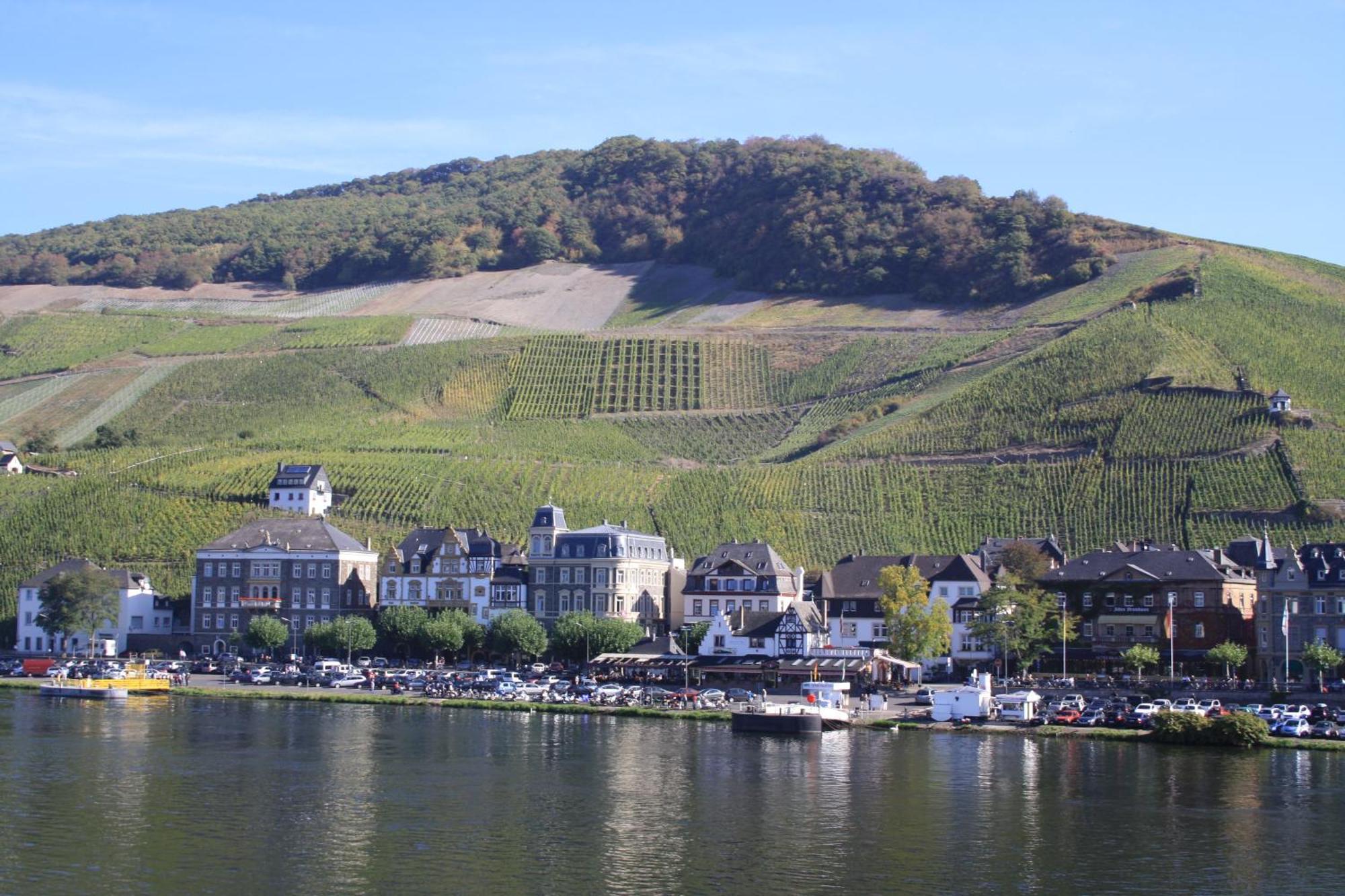 Gaestehaus Weingut Mathy-Schanz Osann-Monzel Экстерьер фото